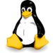 Linux Running on XUP-V2Pro FPGA Board